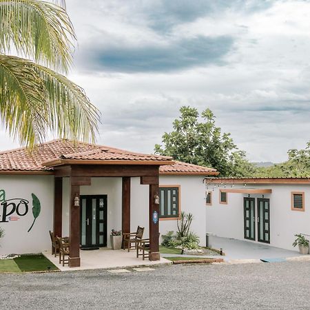 Casa Campo Bed & Breakfast San Sebastián Zewnętrze zdjęcie